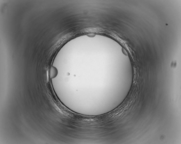 X0000096380061200801241013