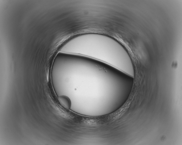 X0000096380062200801241013