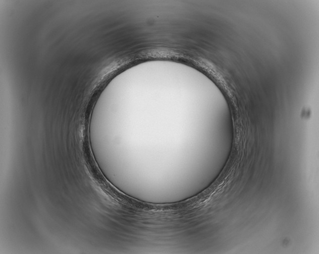 X0000096380063200801241013