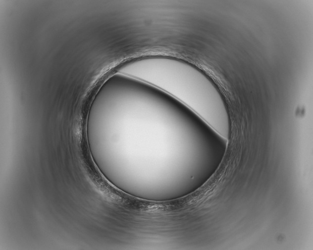 X0000096380064200801241013