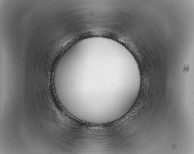 X0000096380066200801241013