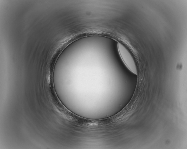 X0000096380068200801241013