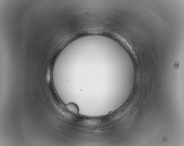 X0000096380069200801241013