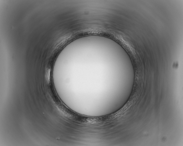 X0000096380070200801241013