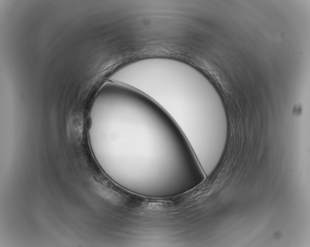 X0000096380072200801241013