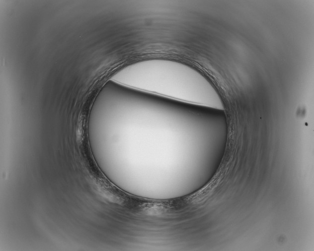 X0000096380074200801241013