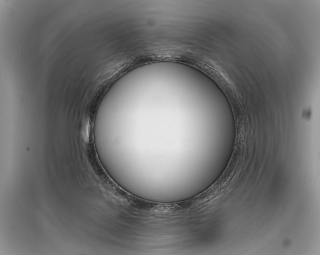 X0000096380076200801241013