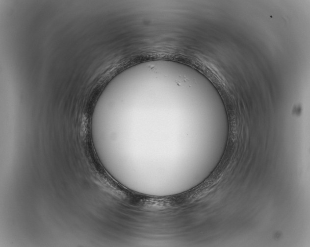 X0000096380077200801241013