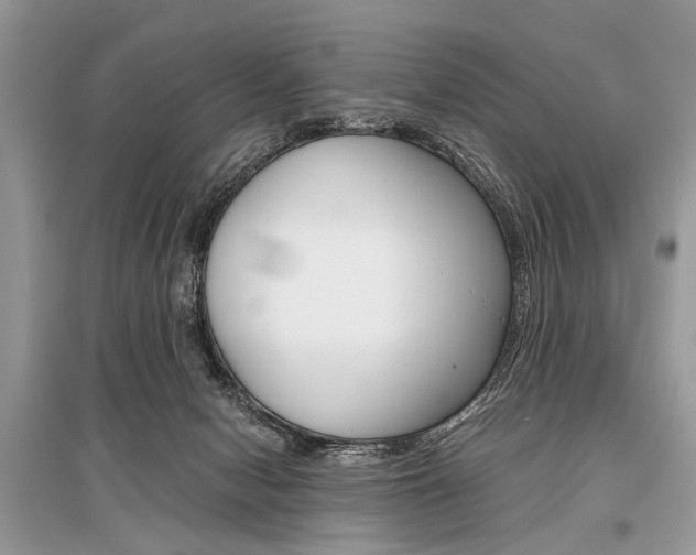 X0000096380078200801241013