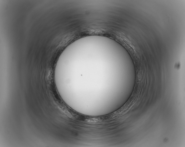 X0000096380079200801241013