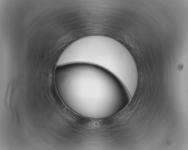 X0000096380080200801241013