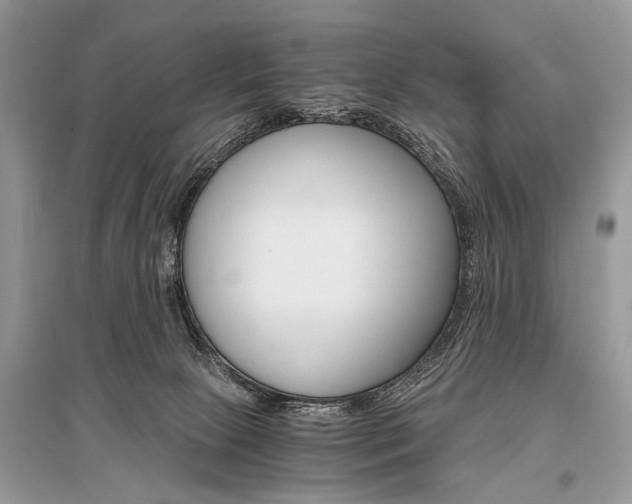 X0000096380081200801241013