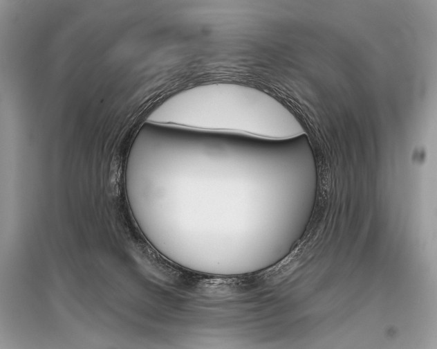 X0000096380082200801241013
