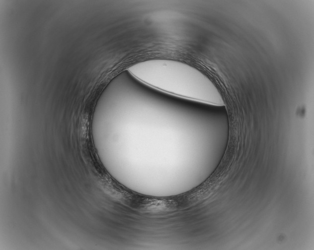 X0000096380083200801241013