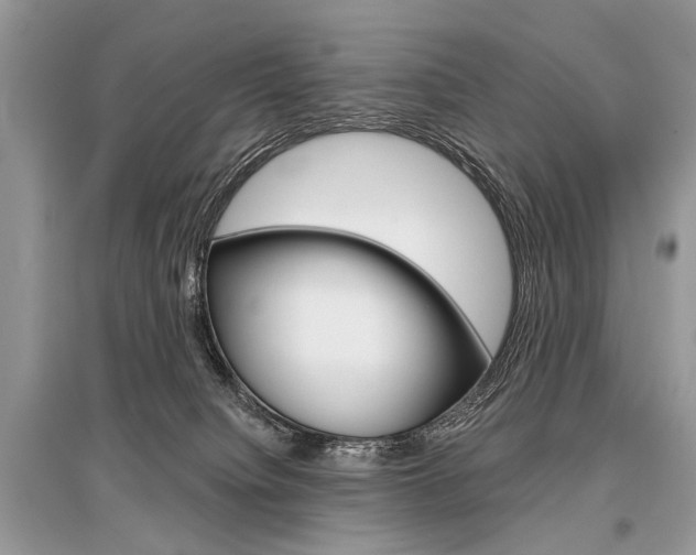 X0000096380084200801241013