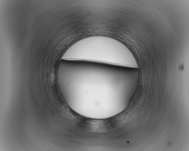X0000096380085200801241013