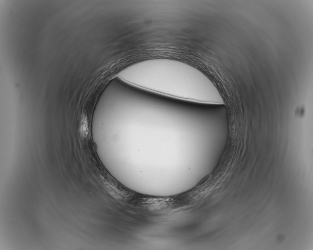 X0000096380089200801241013