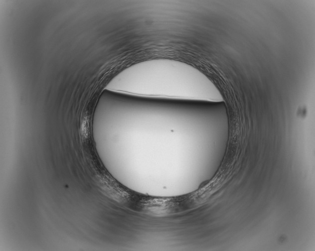 X0000096380090200801241013