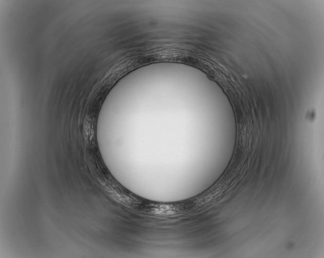 X0000096380091200801241013