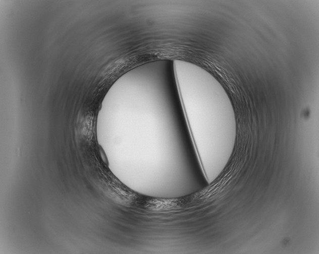 X0000096380093200801241013