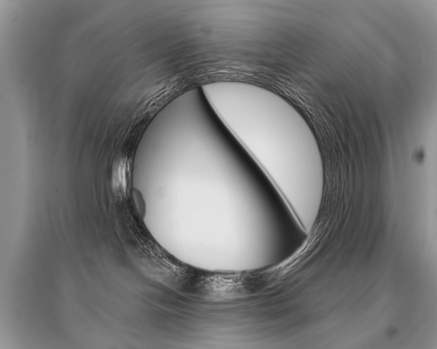 X0000096380094200801241013
