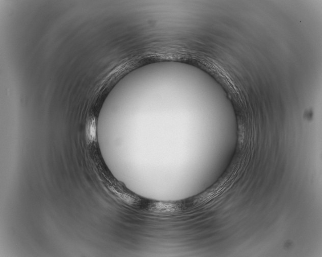 X0000096380095200801241014