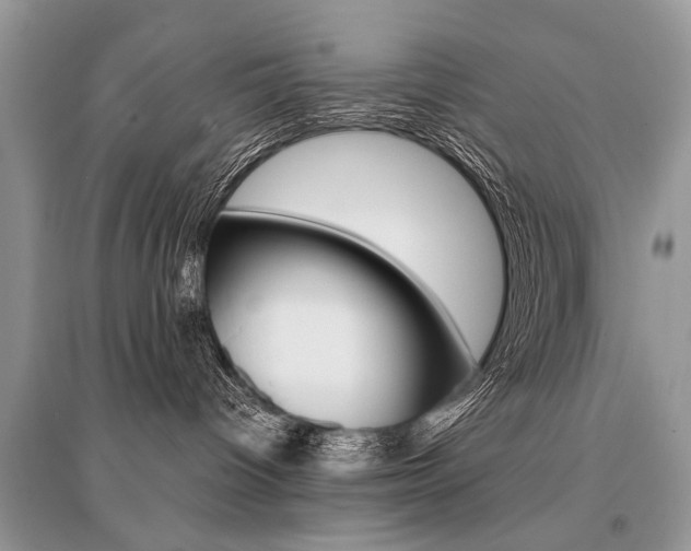 X0000096380096200801241014