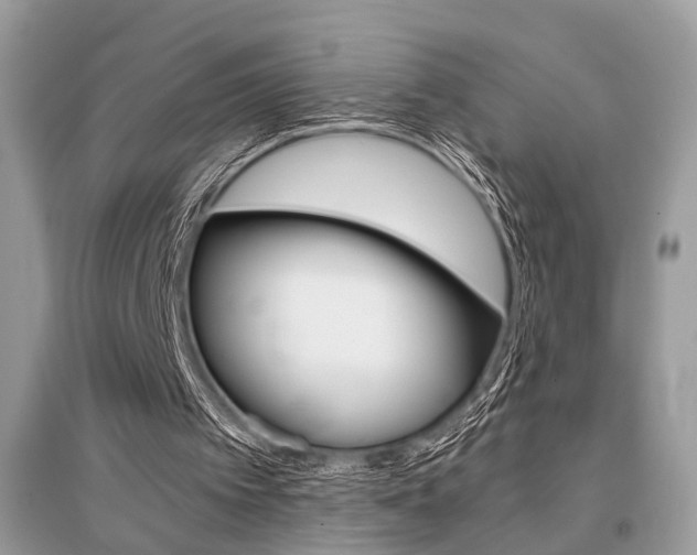 X0000096380097200801241013