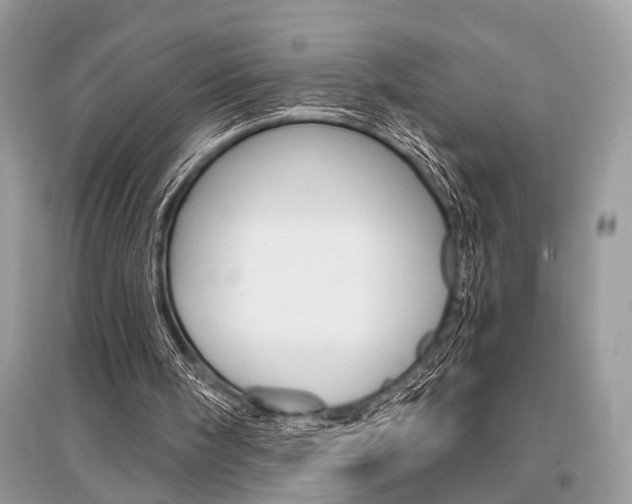 X0000096380098200801241013