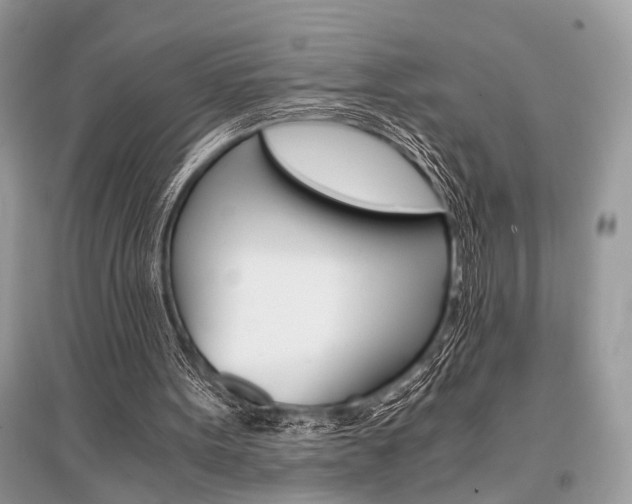X0000096380099200801241013