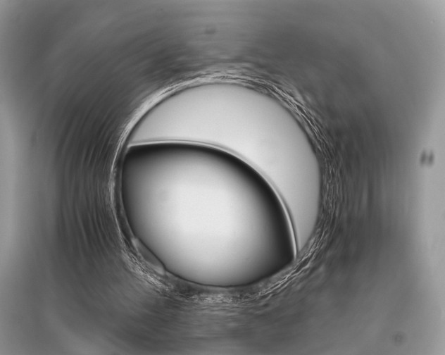 X0000096380100200801241013