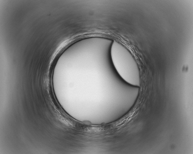 X0000096380102200801241013