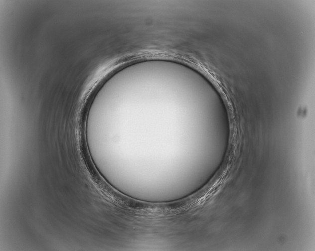 X0000096380103200801241013