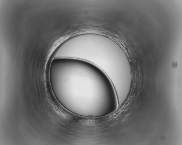 X0000096380104200801241013
