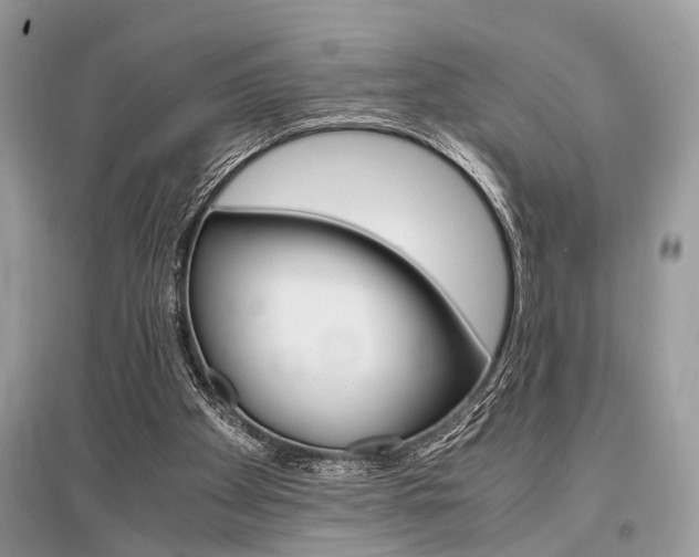 X0000096380105200801241013