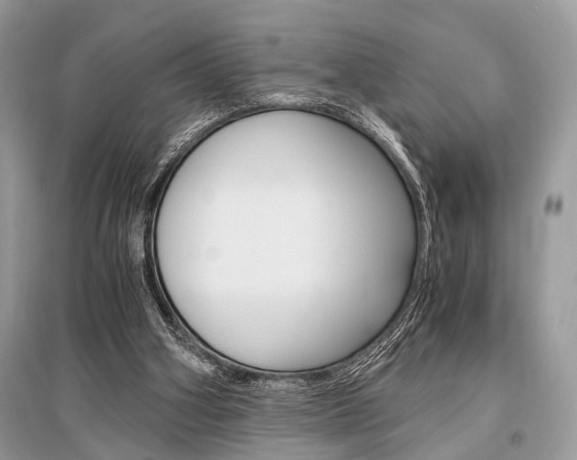 X0000096380106200801241013