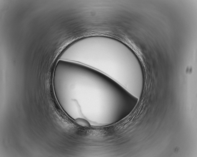 X0000096380107200801241013