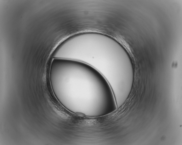 X0000096380108200801241013