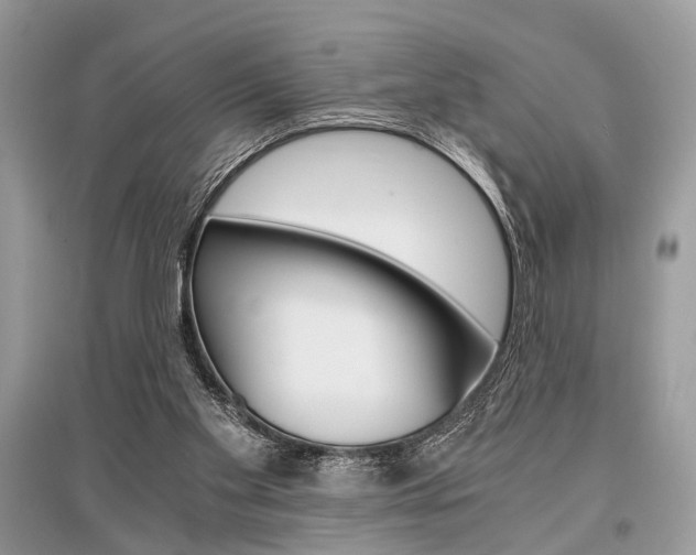 X0000096380109200801241013