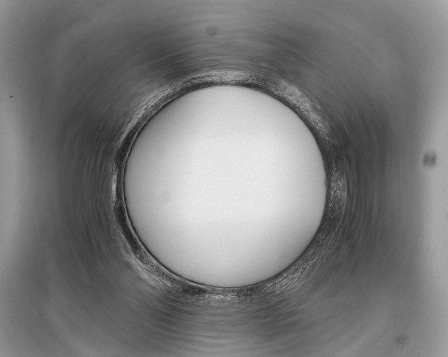 X0000096380110200801241013