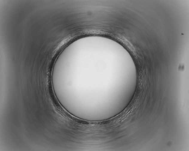 X0000096380111200801241012