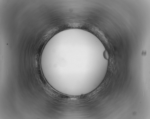 X0000096380114200801241012