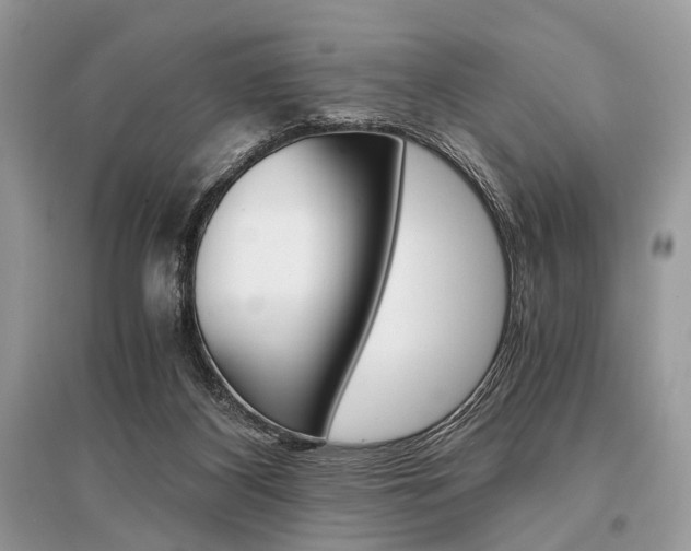 X0000096380116200801241012
