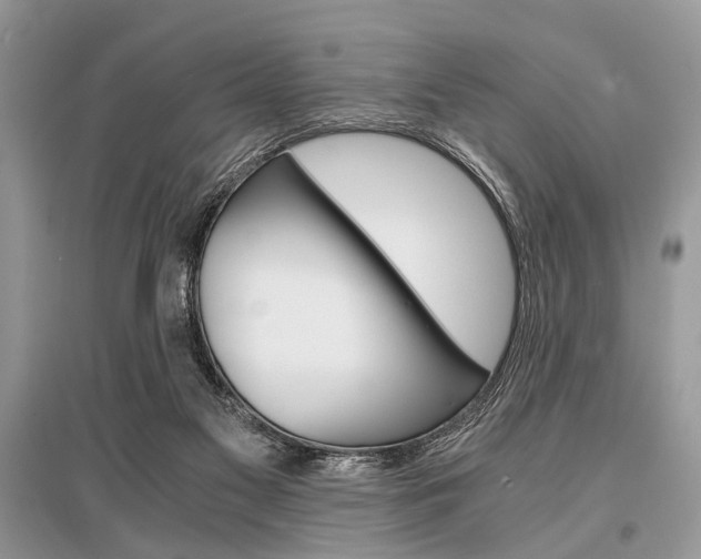 X0000096380117200801241012