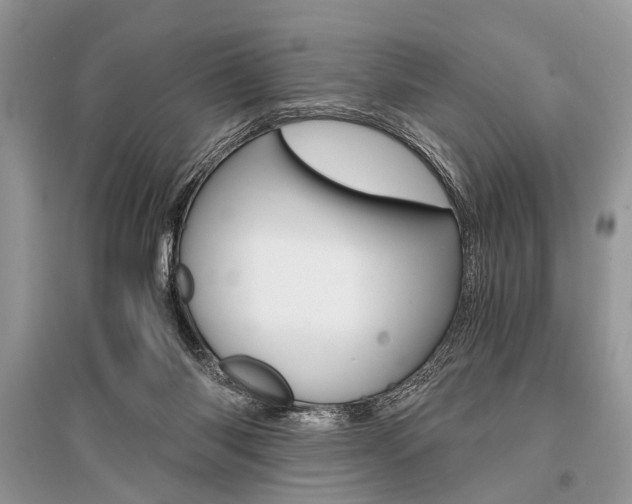 X0000096380118200801241012