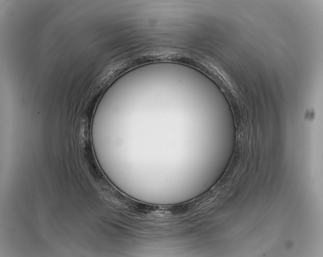 X0000096380119200801241012