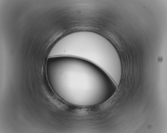X0000096380120200801241012