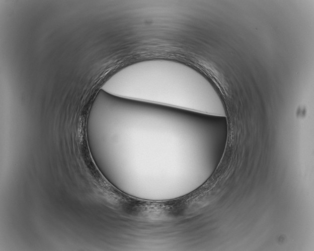 X0000096380121200801241012