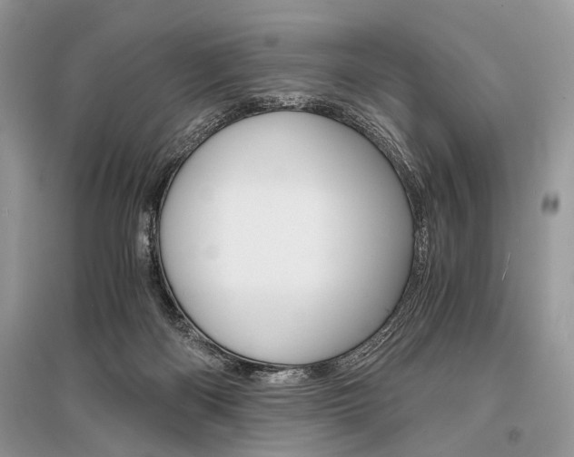 X0000096380122200801241012