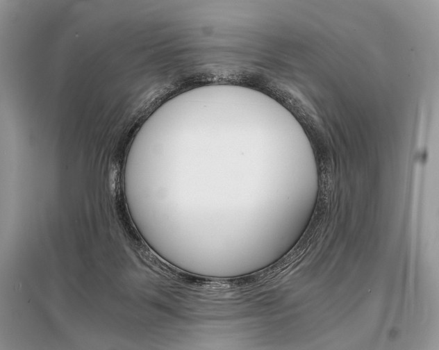 X0000096380123200801241012